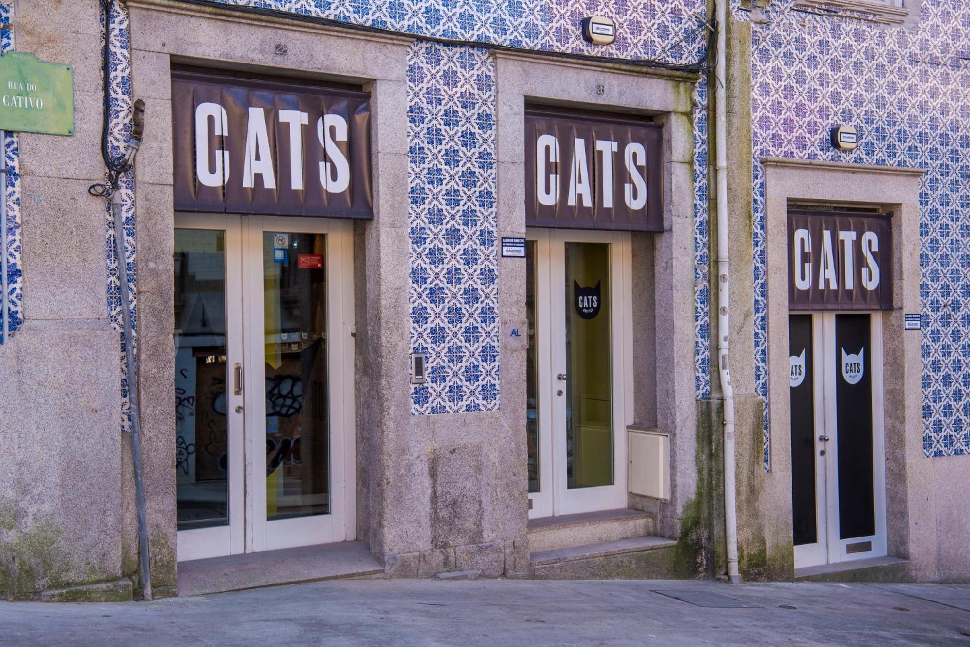 Cats Porto Hostel, Porto